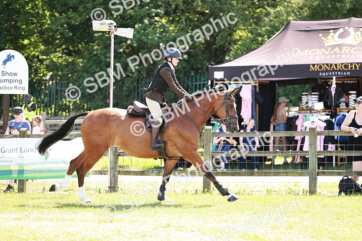 SBM_18335 - Class 112-113 - BSPS LIHS Working Sports Pony