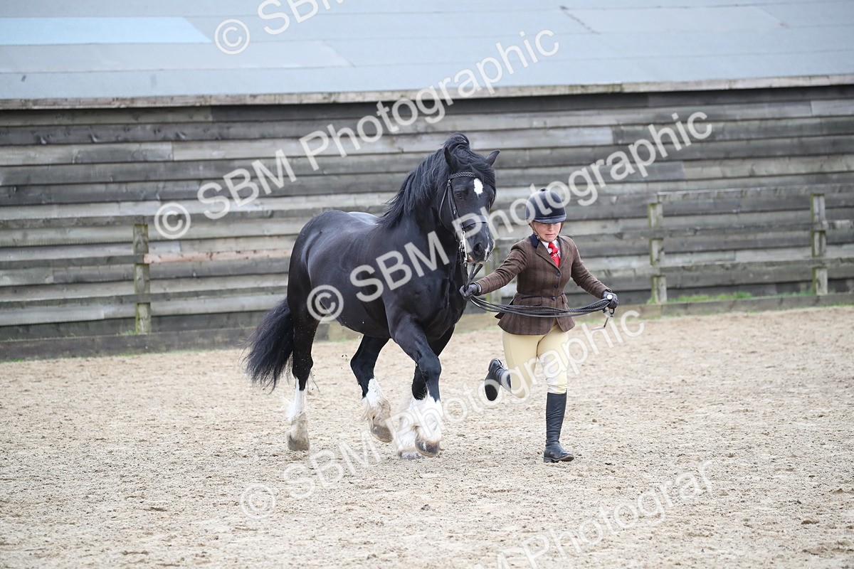 SBM_006392 - Class 10-13 - RIHS Small Large Breeds