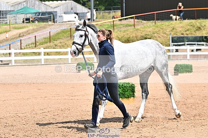 240718A-105311-01672 - Trot Up 1pm to 2pm