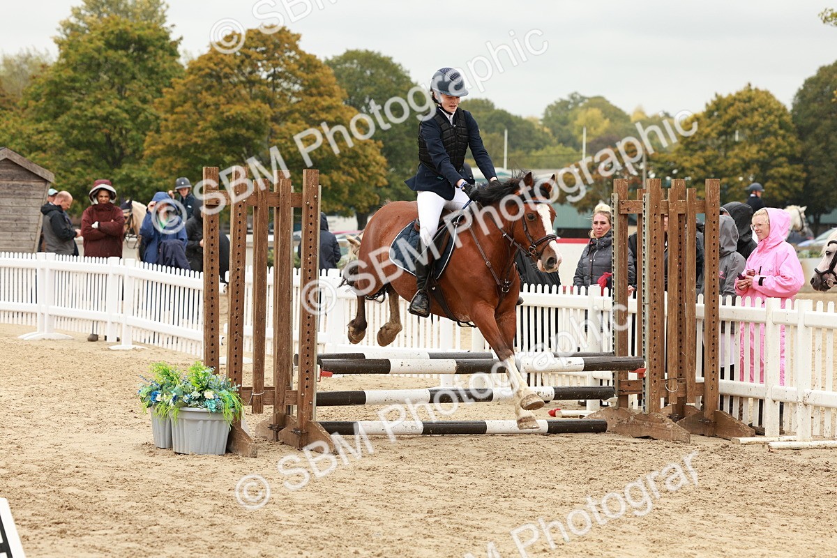 SBM_69197 - J13 - Junior Pony 60cm Championship
