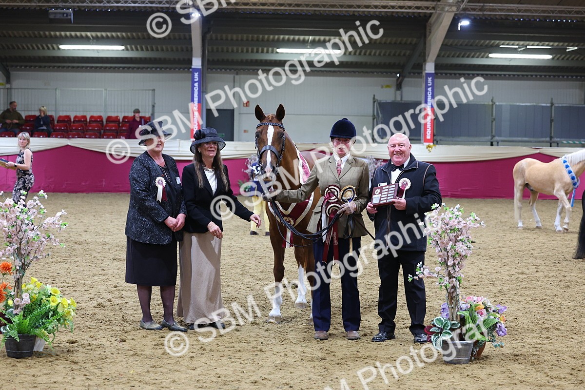 SBM_19789 - Class 901 - Supreme Final - IH Diamond