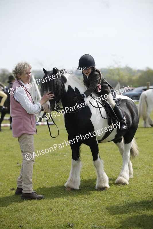 20260426-1878 - Class 7 - Pony Judge Would Most Like To Take Home