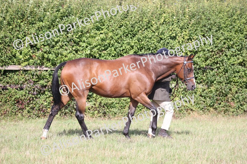 20260906-0664 - Class 22 - Ex Racehorse