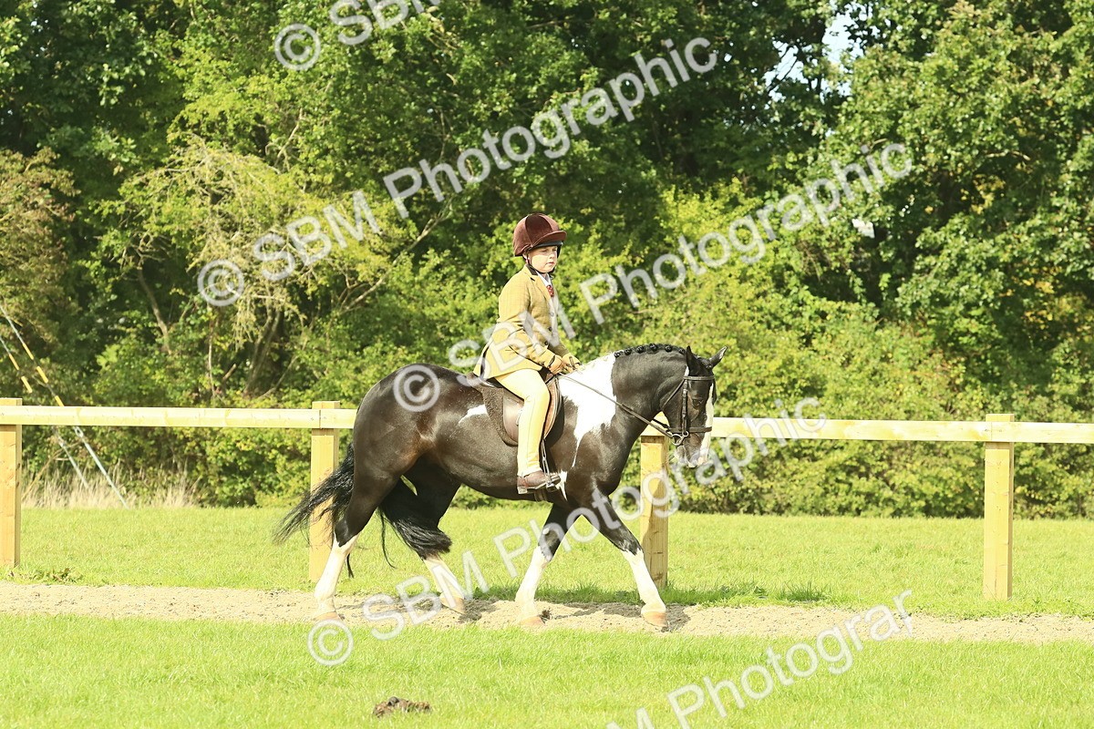 SBM_67407 - S56 - Coloured Pony Ridden