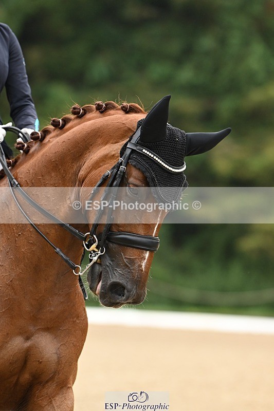 240811-113216-05538 - 243-Jessica.Davies-Kadanz.II