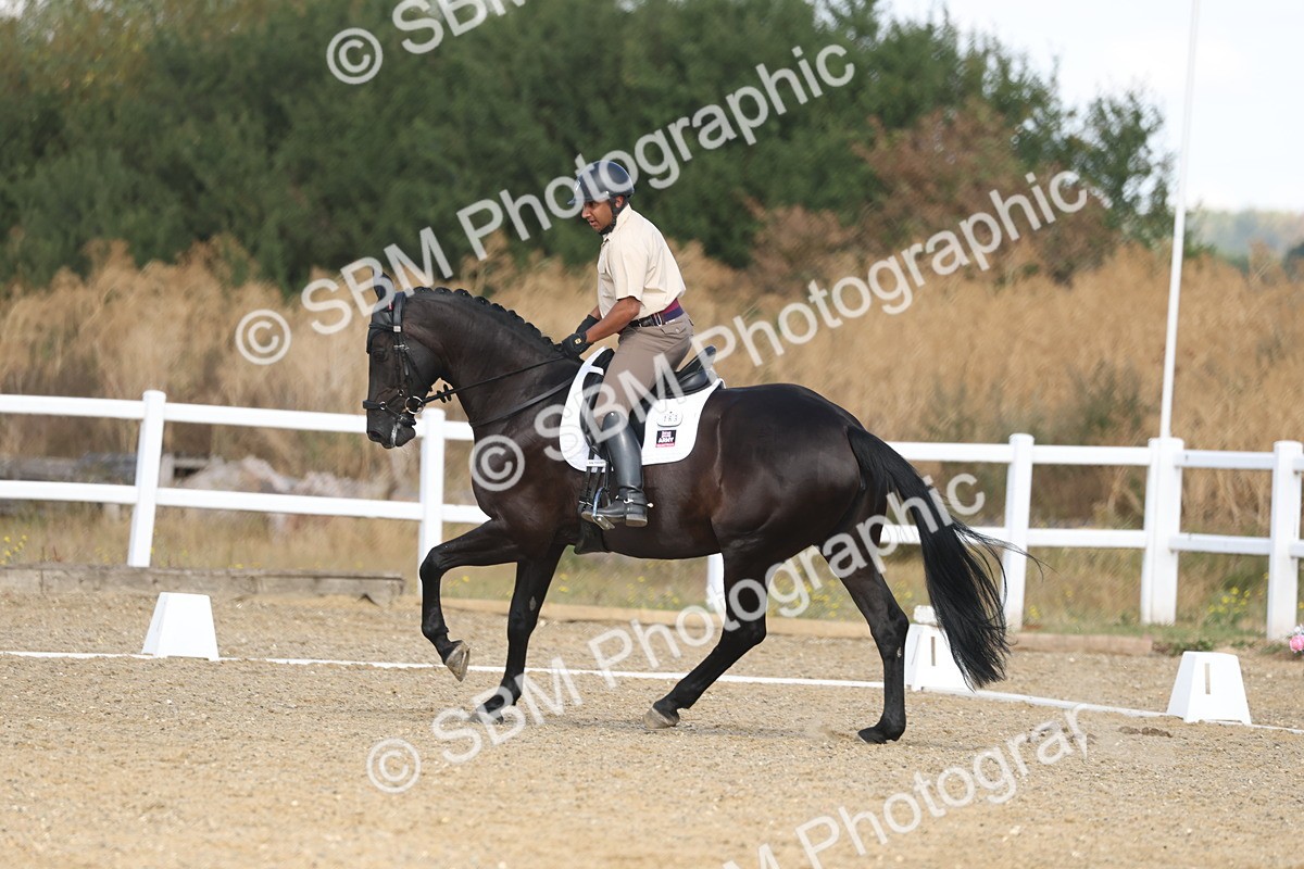 SBM_008589