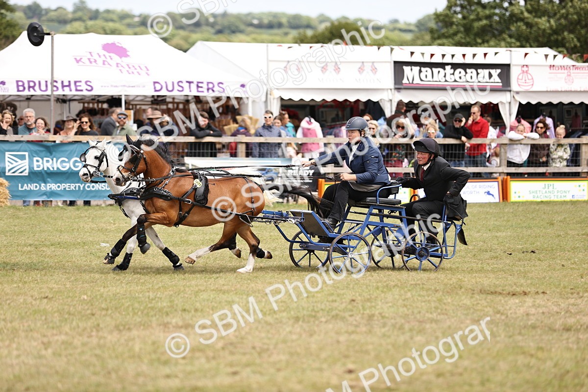 SBM_16058 - Class 91 - Scurry  exceeding 122cms