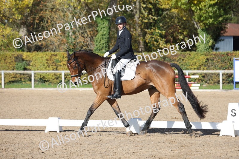 20251102-0651 - Class 4 - Novice 6