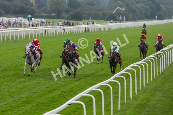 100923-Pony Race 2-3697 - Pony Race 2 12.45 The Dragon (TV and Film) Studios Pony Race 148cm & Under