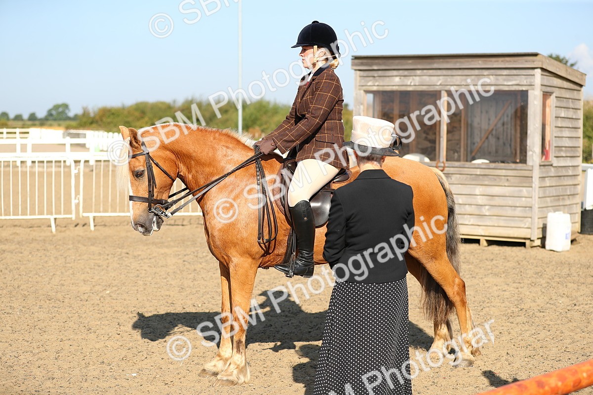 SBM_01195 - Class 42 Ridden Veteran