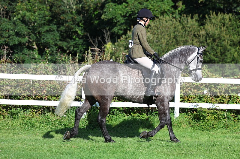 3E7A7548 - Class 1: Novice Working Hunter Pony