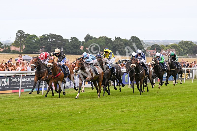 140824-Race 1-Lord Roxby-5770 - Race 1