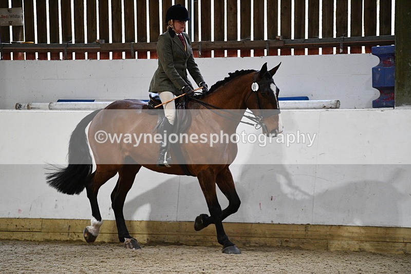 WJ5_8986 - Class 15 Ridden Show Horse