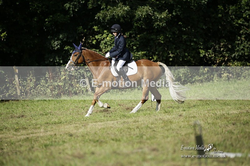 BVRC 120921 208 - Bourne Valley Riding Club UA Dressage & Show Jumping 12/09/21
