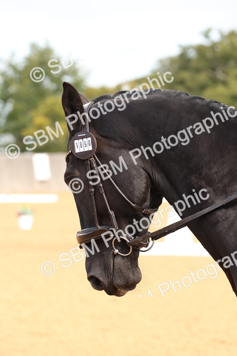 SBM_16179 - D10 - Small Tour Championship Prelim 2
