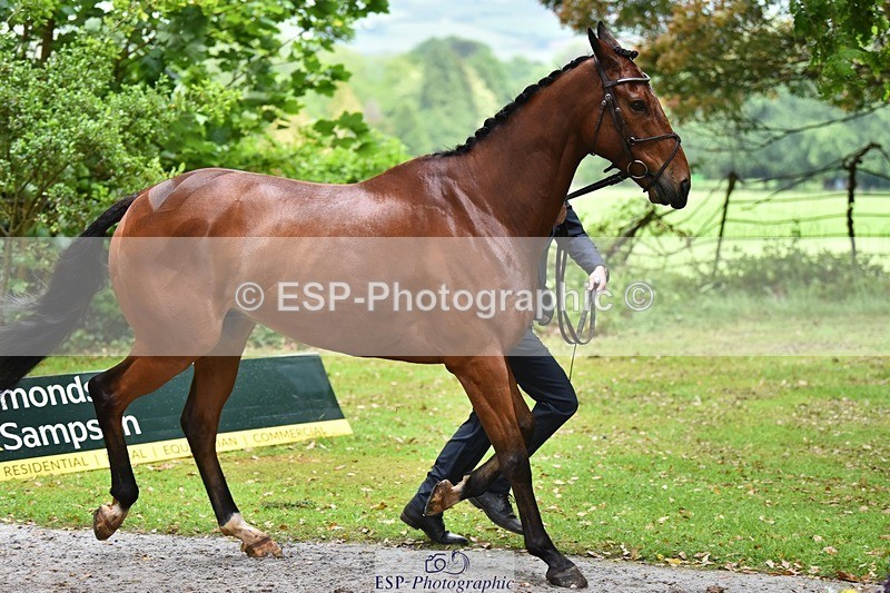 240522-163610-01040 - 268-TOM_DILLINGER-Hector_Payne