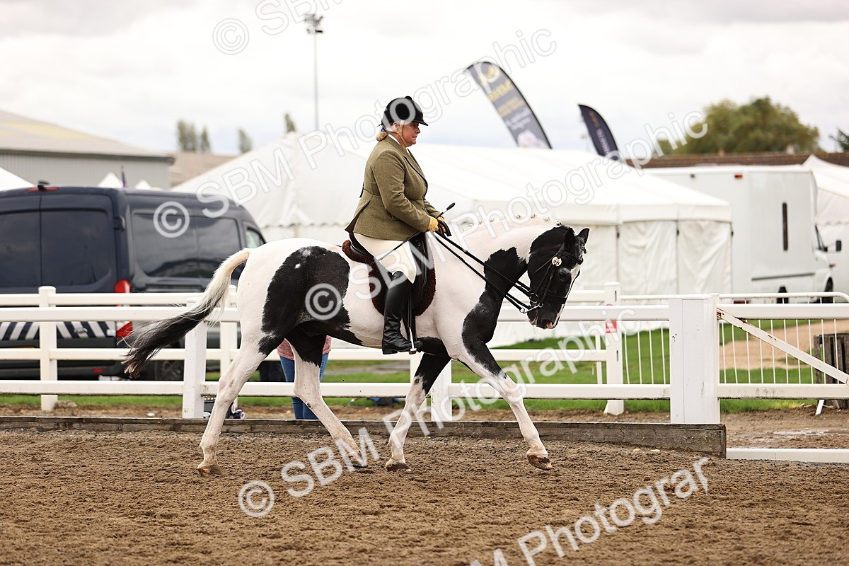 SBM_01346 - Class 54 - Riding Club Horse Pony