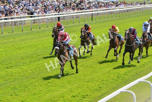 160623-Race 1-Menelaus-6144 - Race 1 1.50pm Andy Thornton Hospitality Furniture Apprentice Handicap