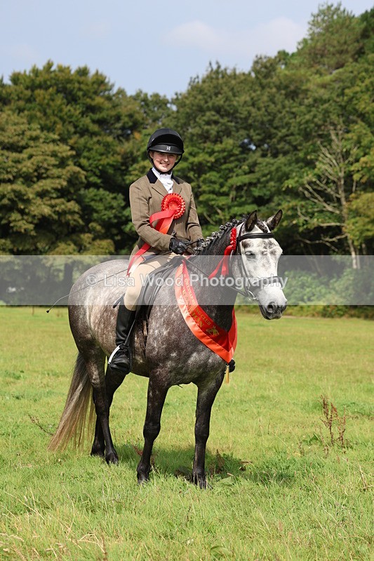 3E7A6147 - Working Hunter Championship