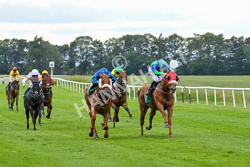 170625-Race 4-Lord Abama-5150 - Race 4