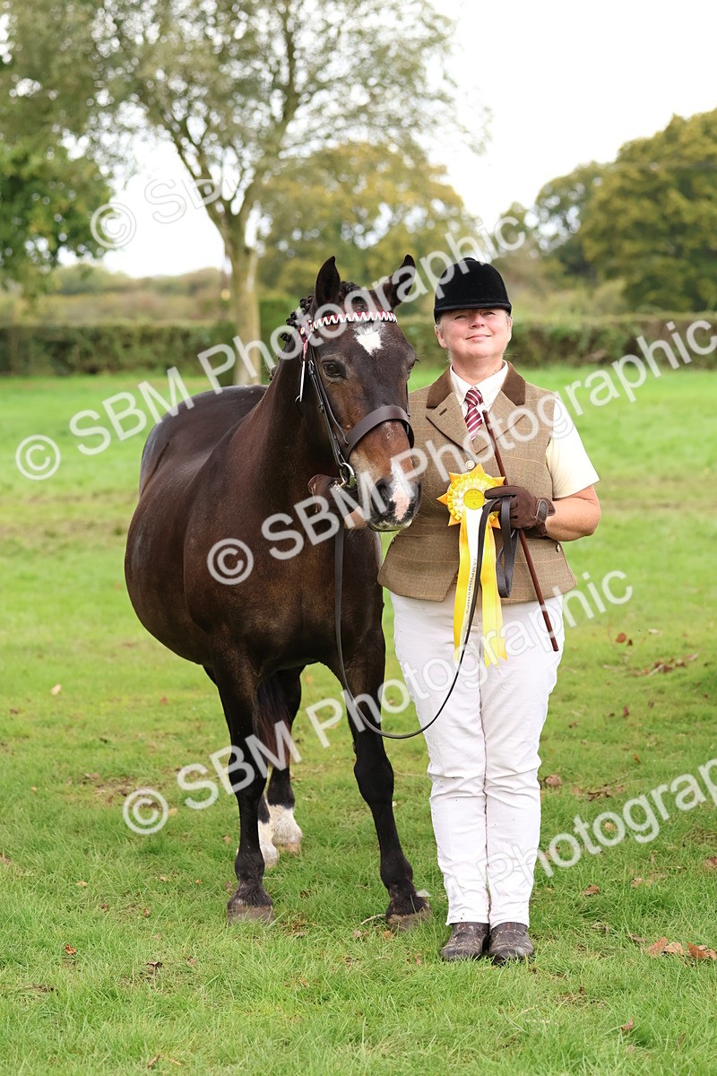 SBM_41763 - S26 - Mature Veteran In Hand