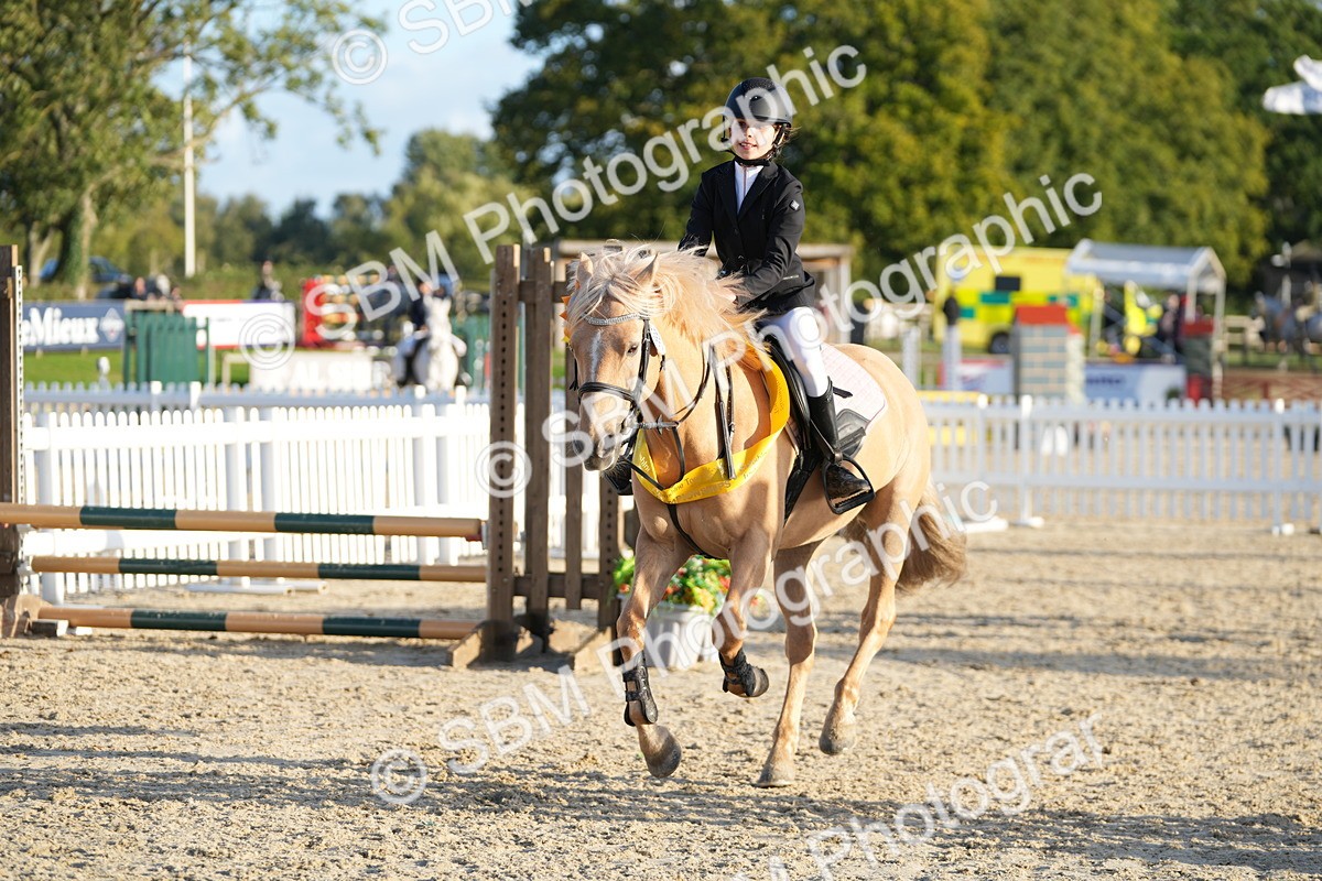 SBM_54067 - J8 - Junior Pony 65cm Championship
