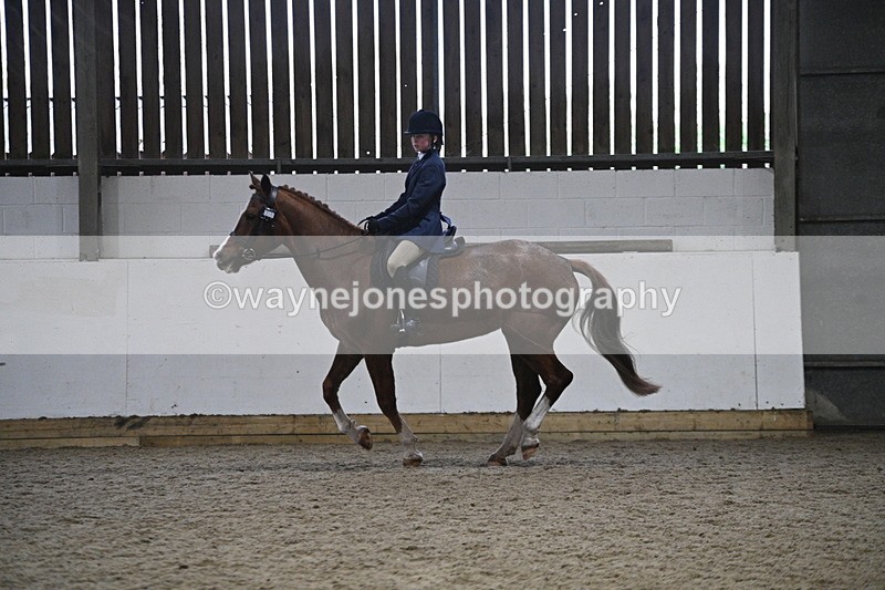 WJ7_4146 - Class 17 Ridden Cob