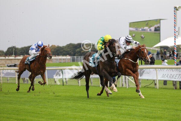 yr07102022r1-25 - Race 1 2.05pm Parsonage Hotel and Cloisters Spa Stakes