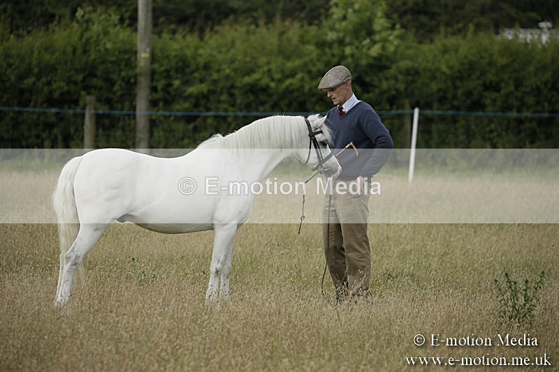 B230619-0158 - Bourne Valley Riding Club Summer Show 23/06/19