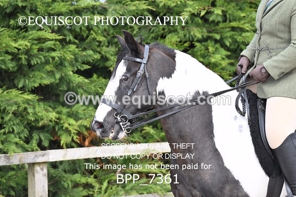 BPP_7361 - RING 1  (RIDDEN HORSES / IN HAND / VETERAN ETC)