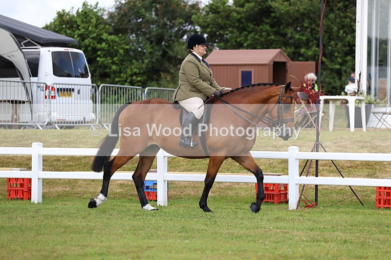 3E7A9264 - Class 4: Rising Star M/H Hunter