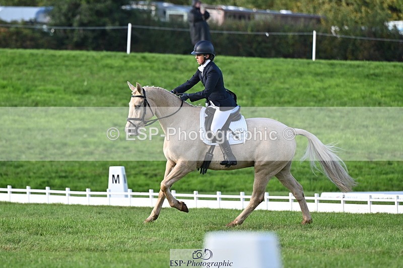 251024A-151020-13977 - E-395-Rolline.OCallaghan