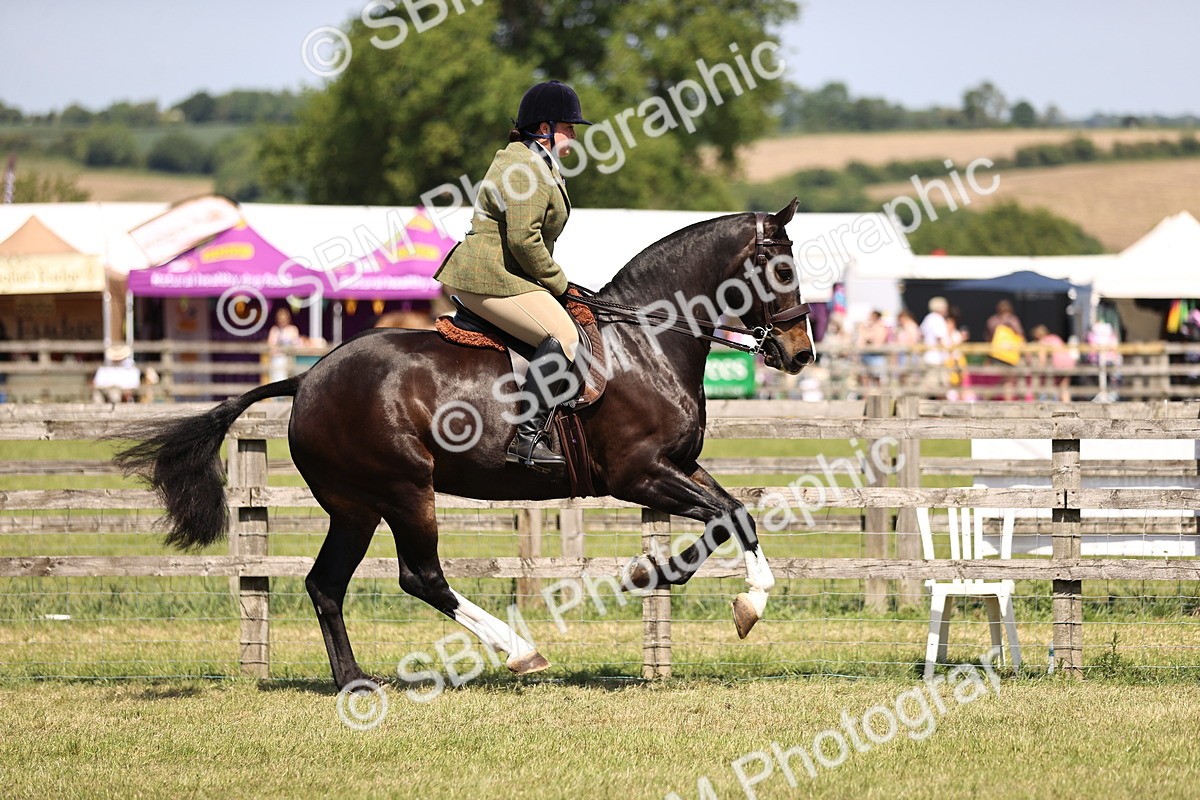 SBM_17845 - Class 81-83 - TSR Ridden Amateur of the Year - Horses