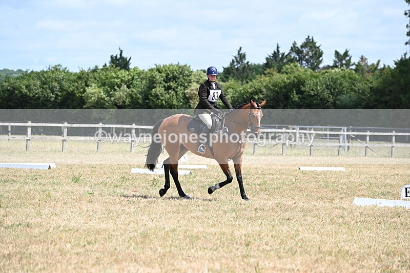 WJ6_4117 - Time 11:43 to 12:14