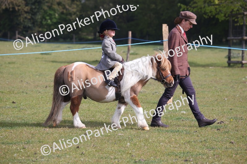 20260426-0259 - Class 30 - Tiny Tots Lead Rein