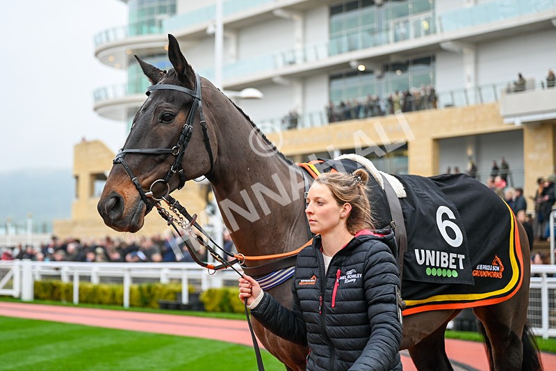 131224-Race 5-Raffle Ticket-9830 - Race 5