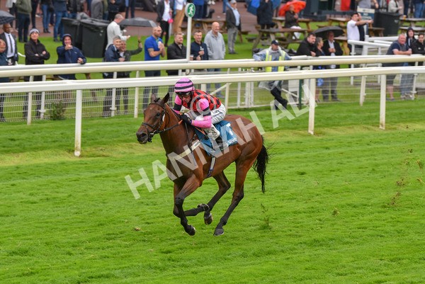 140723-Race 4-Andaleep-8256 - Race 4 3.50pm Azets Handicap