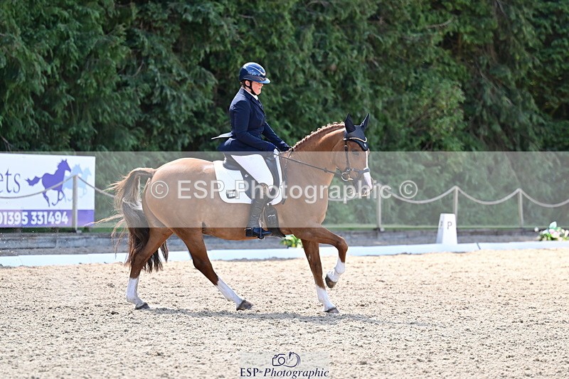 260731A-111627-00288 - Elementary Bronze 10.30 - Break