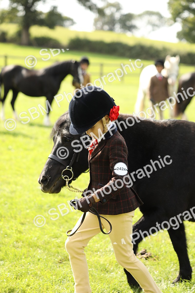 SBM_67764 - S39 - Junior Handler 8  Years & Under