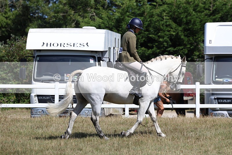 3E7A6341 - Working Hunter Championship
