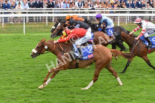 yr23072022r2-39 - Race 2 2.40pm Sky Bet Dash