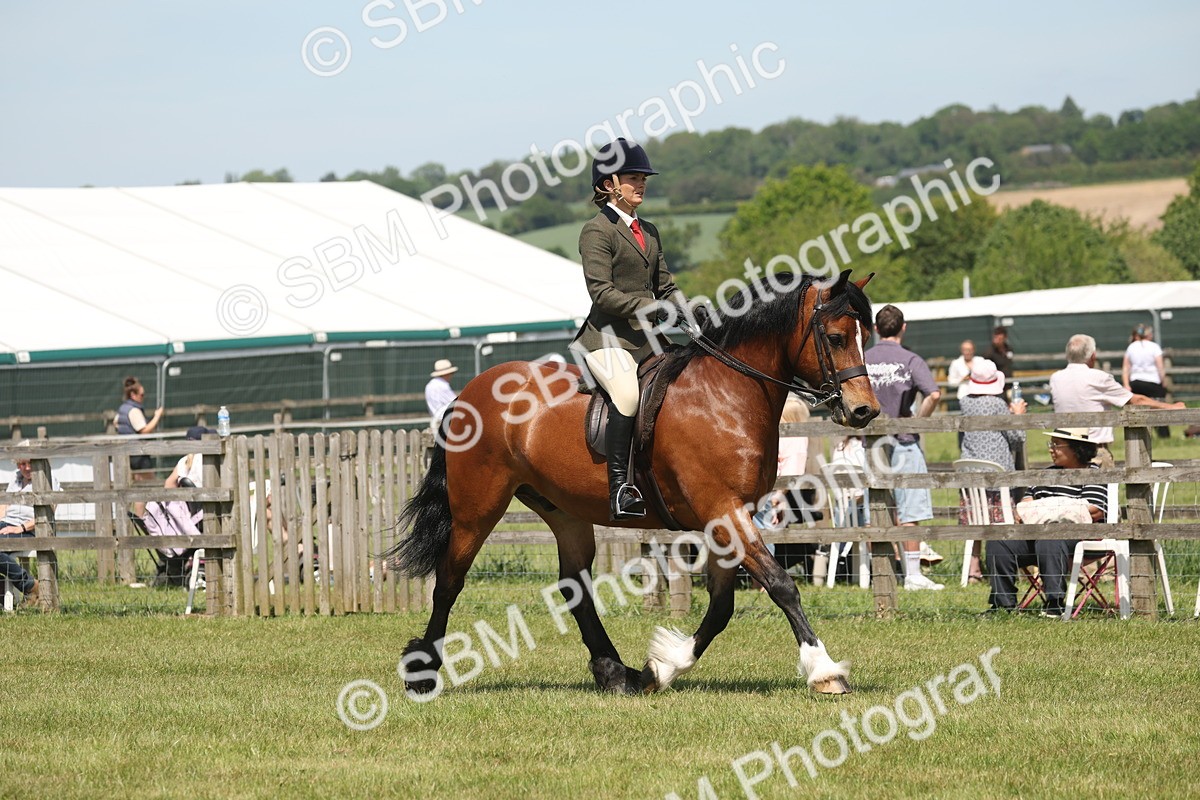 SBM_06898 - Class 26-30 - Mountain and Moorland Ridden