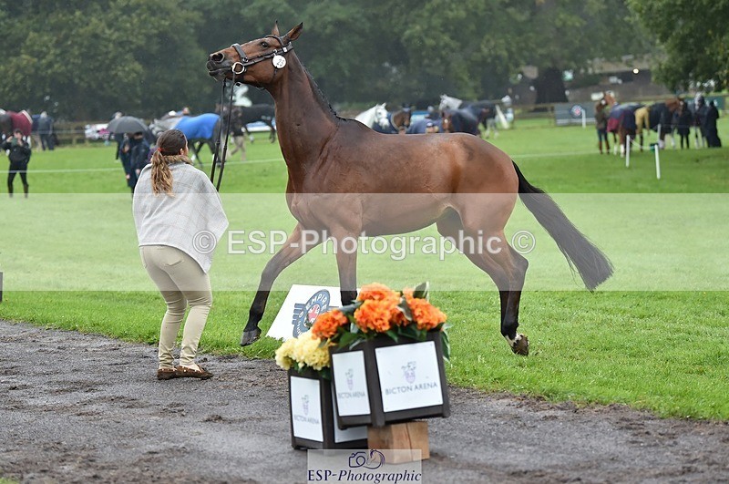 231018-121702-00185 - 025-LYRICAL.II-Harriet.Dickin-TrotUp