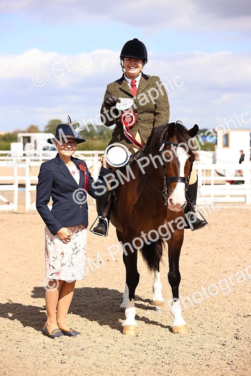 SBM_14320 - Class 411 - Prettiest Mare (IH OR Ridden) Adult