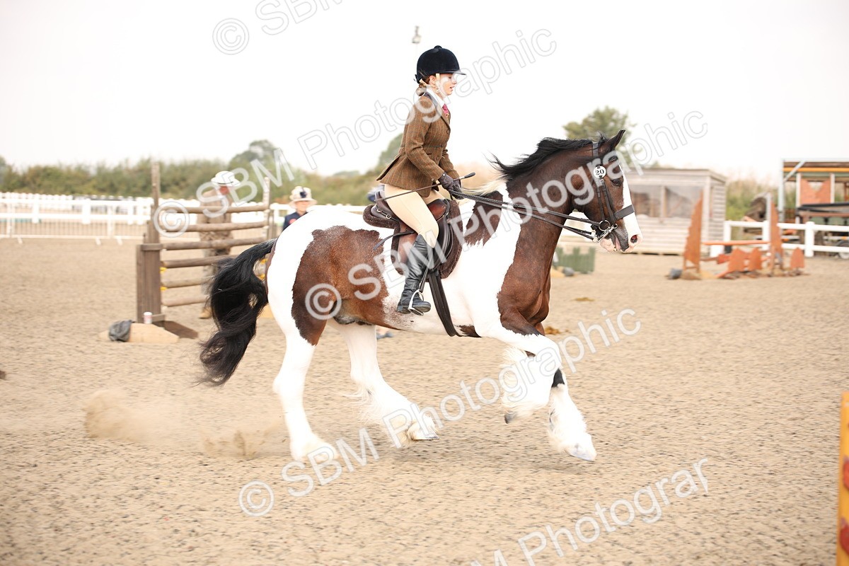 SBM_11679 - Class 404b Junior Working Veteran- 40cm(20+)