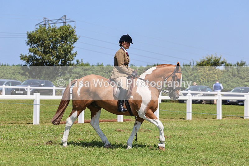 IMG_2300 - Class 38: Veteran Ridden