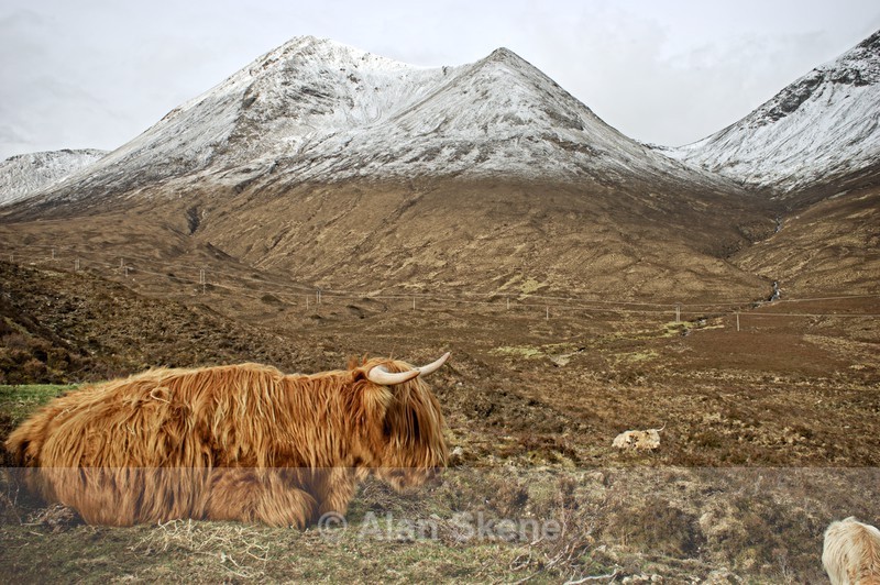 DSC04029 - Skye
