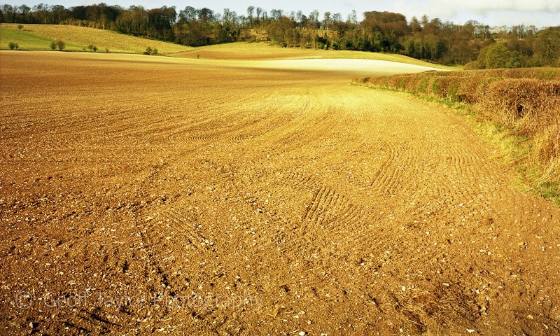 Howe Farm - A Rural Landscape