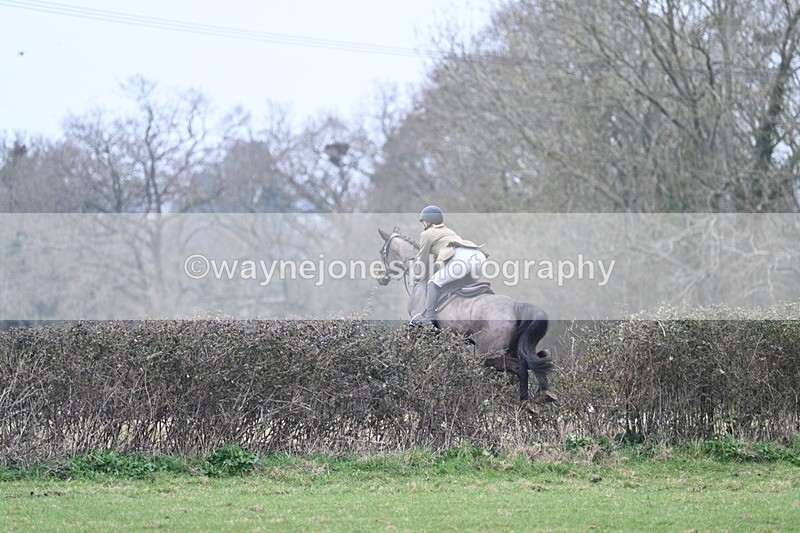 WJ7_7868 - A Camera