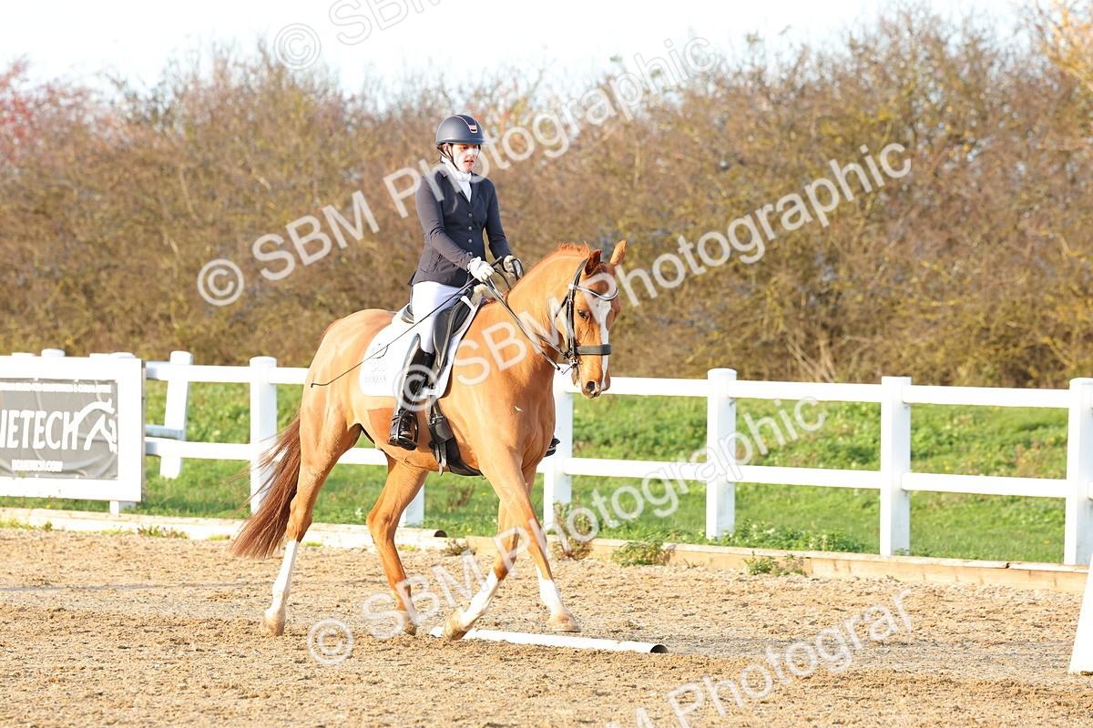 1I0A6253 - Class 11 - Medium 5